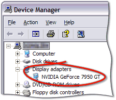 Click the small '+' marked Display Adapters to see your graphics card model...